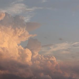 Meet your Posher, Layna